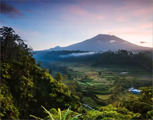 Mt Agung volcano and rice terraces at dawn, Bali