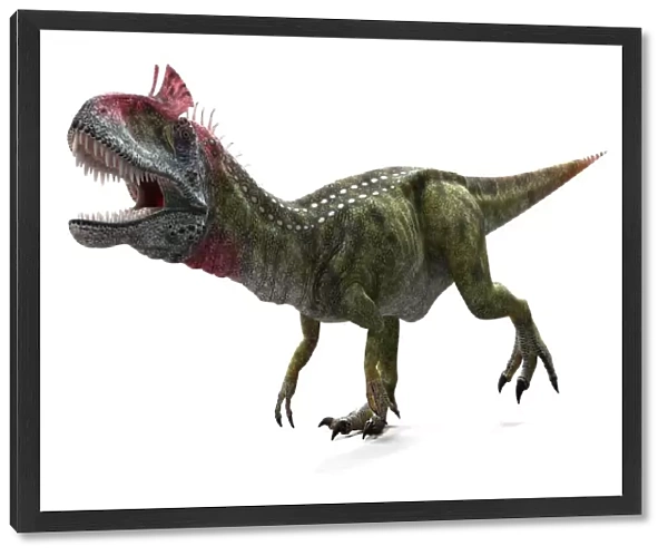 Cryolophosaurus dinosaur, artwork