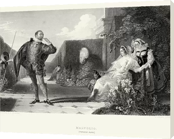 Works of William Shakespeare - Malvolio from Twelfth Night