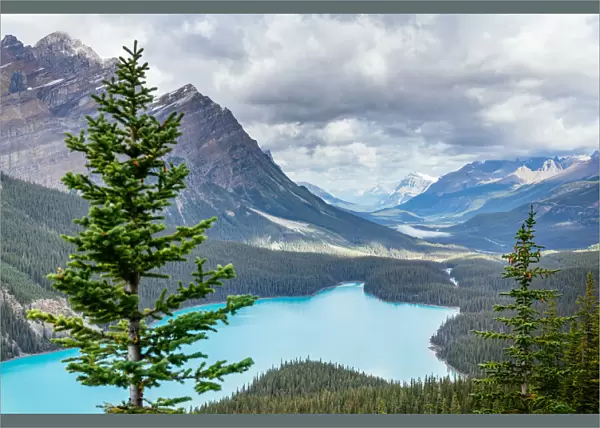 Peyto Lake, Icefields Parkway, Banff, Alberta, Canada. blue glacial lake in the Canadian
