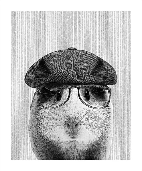 Hipster Guinea Pig Illustration With Hat And Glasses