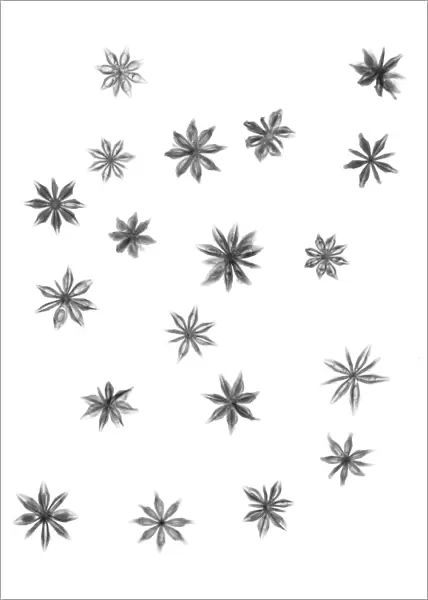 Star anise, X-ray