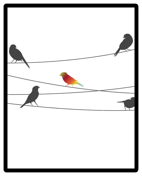Birds on Wire, 527820805
