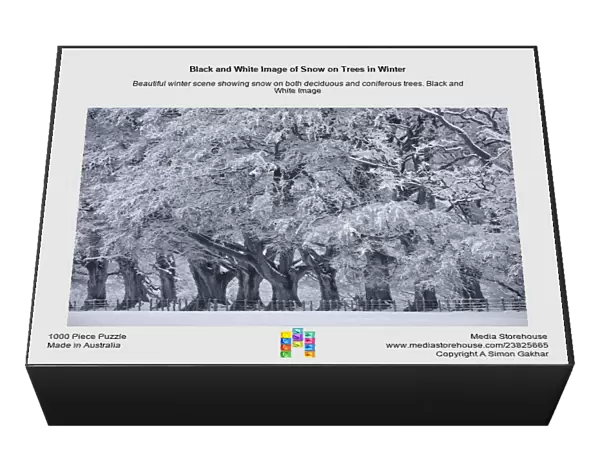 Black and White Image of Snow on Trees in Winter