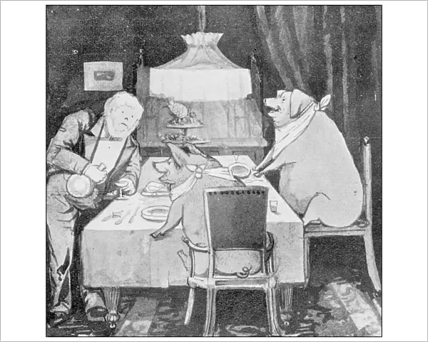 Antique illustration of sports and leisure activities: Pig eating at table