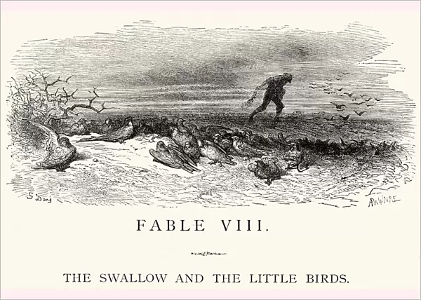 La Fontaines Fables - Swallow and the Little Birds