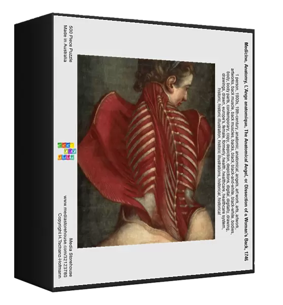 Medicine, Anatomy, L'Ange anatomique, The Anatomical Angel, or Dissection of a Woman's Back, 1746, by Jacques-Fabien Gautier Dagoty, France, Historical, digitally restored reproduction from a 19th century original