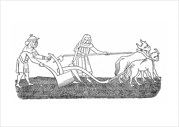 Cultivated state in the 12th century, field work ploughing with an ox team, agriculture, after a picture in the manuscript of the Hortus deliciarum of Herrad of Landsberg, Germany, Historic