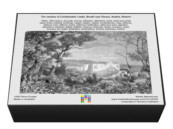 The remains of Liechtenstein Castle, Bruehl near Vienna, Austria, Historic, digitally restored reproduction of an original 19th century painting, exact original date unknown