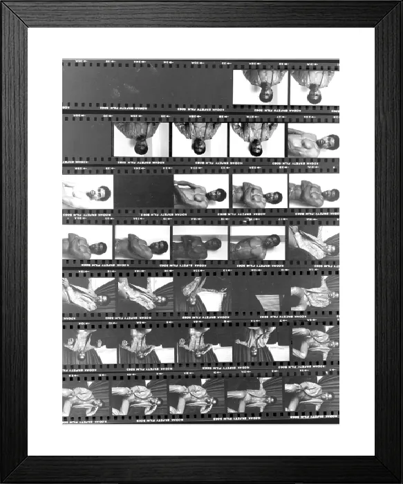 Show Product Preview