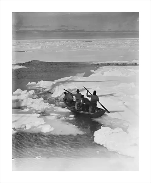 Working the pram (rowing boat) through pack ice to hunt penguins. December 1910
