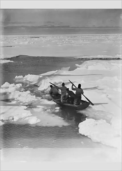 Working the pram (rowing boat) through pack ice to hunt penguins. December 1910