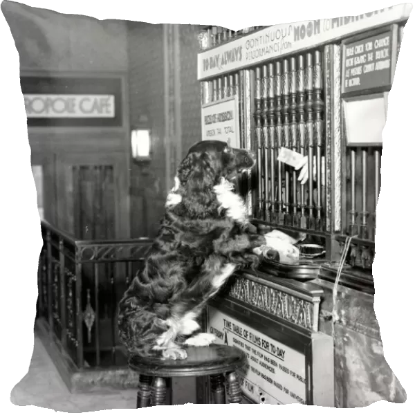 Henry Woggins, the pet dog of Mrs Fraser Simpson, author of Footsteps in the Night