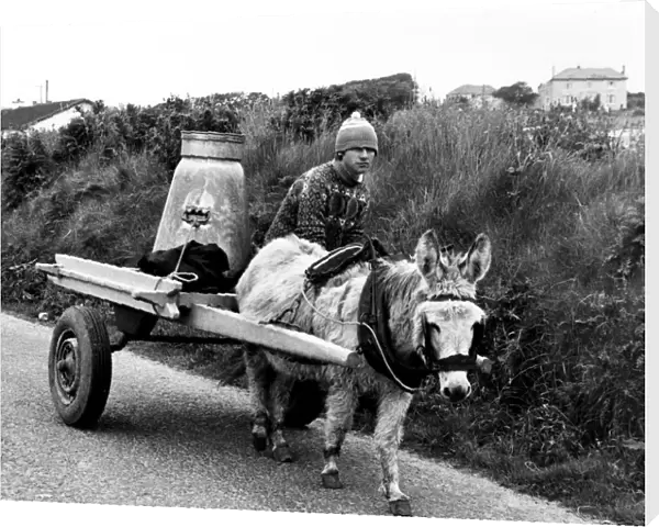 No Change Here... except for the wheels. Donkey and trap, with wheels converted