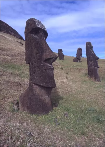 Easter Island A few of the upright giant statues near the ancient volcanic quarry