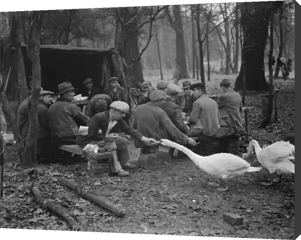 Workmen on their tea break feeding the swans during the reconstruction of the gardens