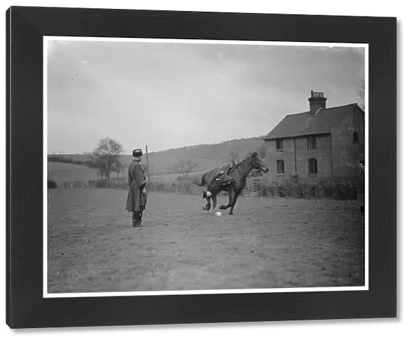 Horse trick riding in Eynsford, Kent. Hanging from the stirrup and picking an