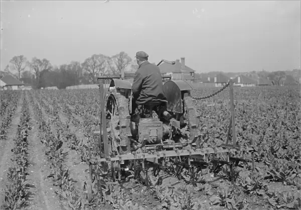A farmer on a tractor cultivating a field. 1935