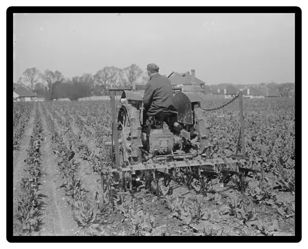 A farmer on a tractor cultivating a field. 1935