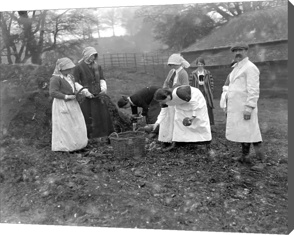 Women farm workers at Sparsholt, Hampshire. 1914-1918
