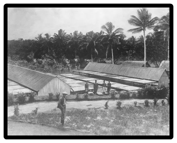 German East Africa Nuala, A drying ground on a copra estate August 1921