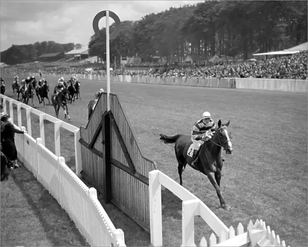 Goodwood Sussex England Bombay Duck winning the Craven Stakes