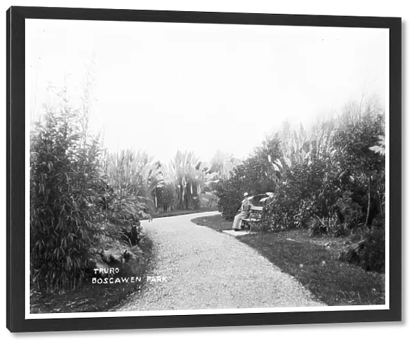 Boscawen Park, Truro, Cornwall. Early 1900s