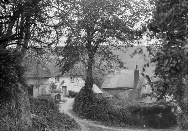 Cottages below the church, Ruan Lanihorne, Cornwall. Around 1900