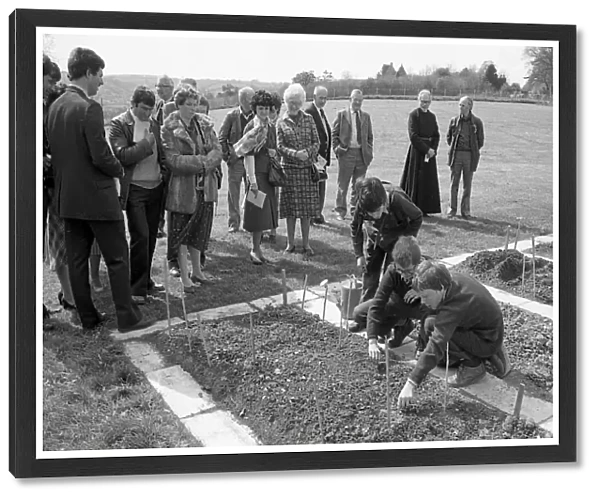 Planting vegetable patches, St Winnow Church of England Primary School, Lostwithiel, Cornwall. April 1983