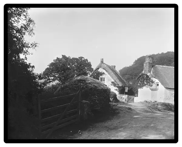 Thatched Cottages near Mawgan, Mawgan in Meneage, Cornwall. 1897