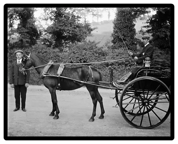 Pony and trap, Tremorvah Lodge, Truro, Cornwall. Early 1900s