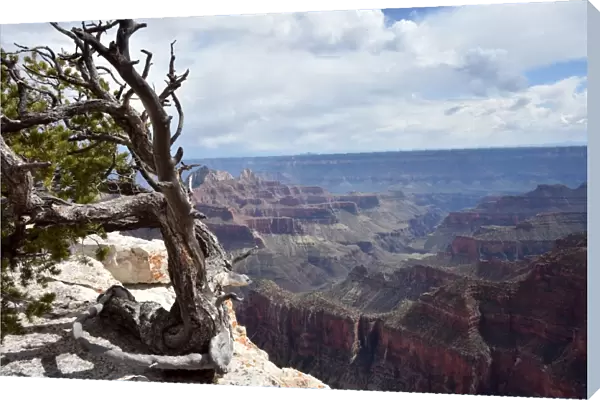 Us-Tourism-Enviornment-Grand Canyon