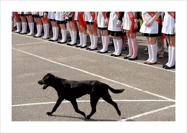 Belarus-Ceremony-Dog