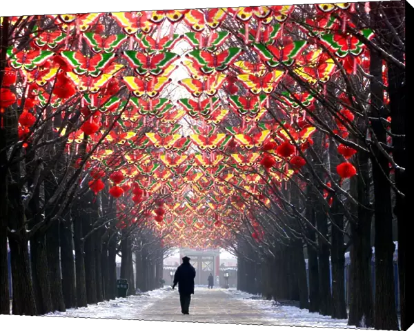 China-New Year-Decorations-Butterflies