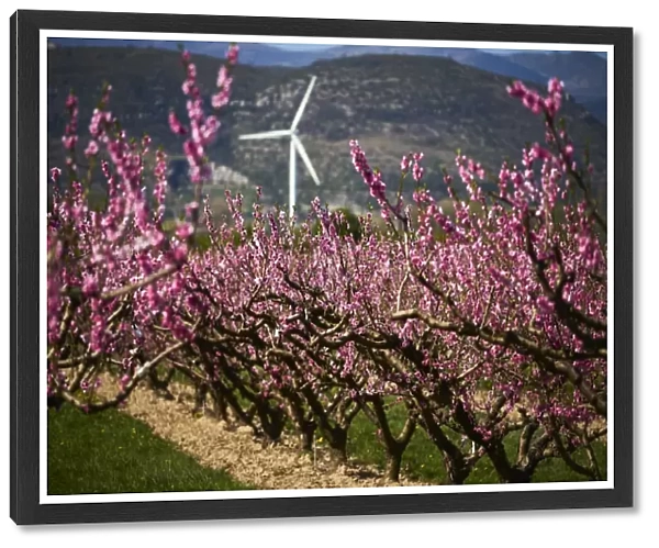 France-Agriculture-Fruits-Orchards-Spring-Weather-Feature