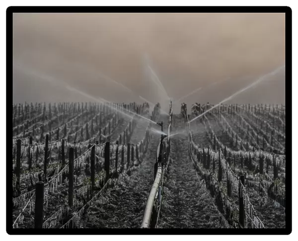 France-Agriculture-Wine-Weather