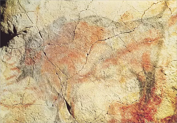 Bison, from the Caves at Altamira, c. 15000 BC (cave painting)