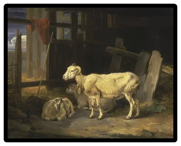 Heath Ewe and Lambs, 1810 (oil on canvas)
