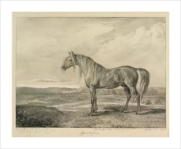 Copenhagen, from Celebrated Horses, a set of fourteen racing prints published