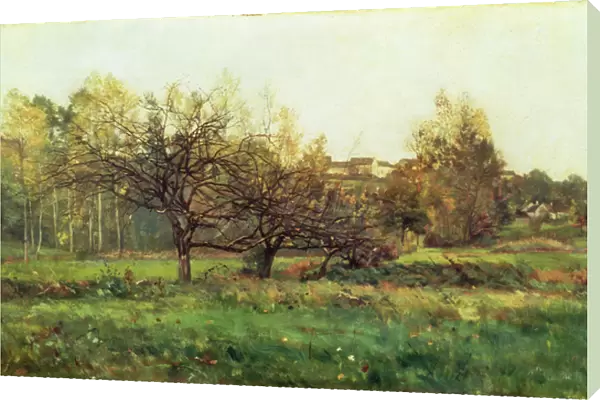 Autumn Landscape (oil on canvas)