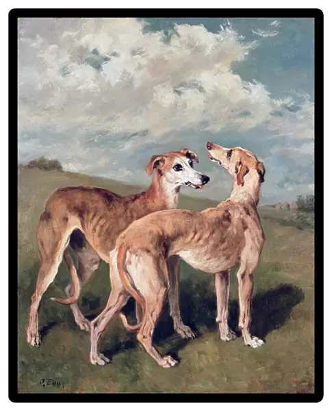 Greyhounds (oil on canvas)