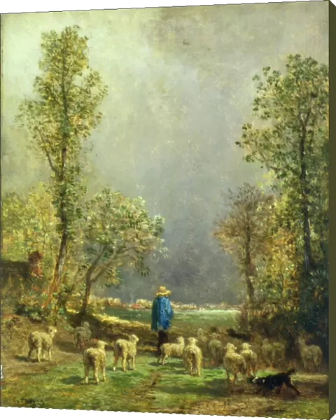 Sheep watching a Storm (oil on panel)