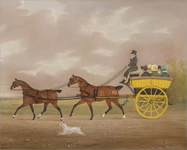 A Gentleman driving Tandem to a Jaunting Car (oil on canvas)