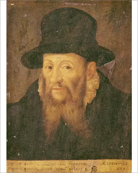 Jacques Cujas (1522-90) aged 65 (oil on canvas)