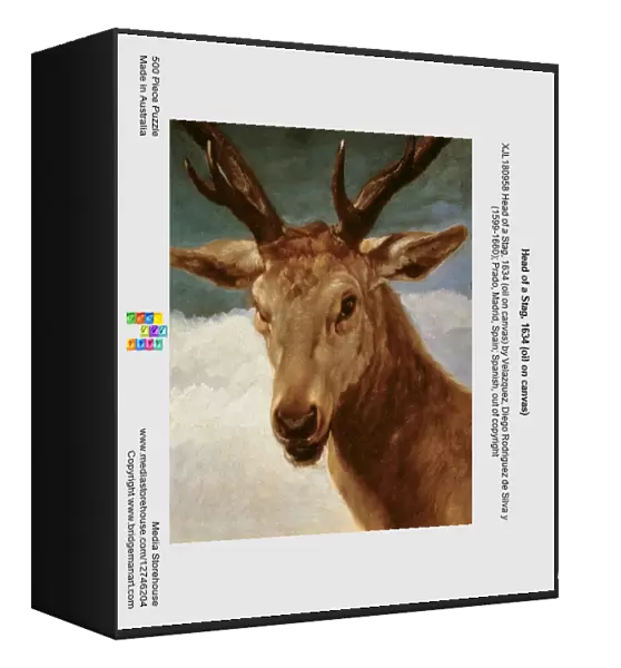 Head of a Stag, 1634 (oil on canvas)