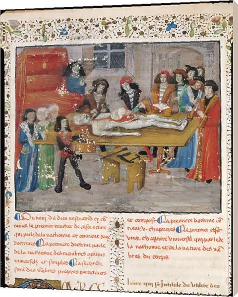 Ms H 184 fol. 14v Dissection lesson at the Faculty of Medicine in Montpellier
