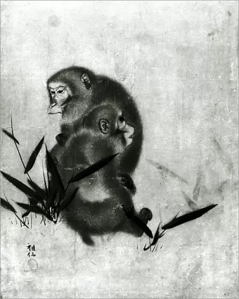 Monkeys (b  /  w photo)