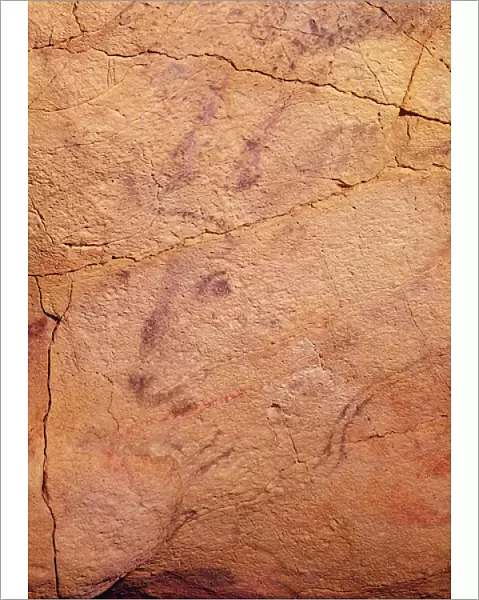 Head of a small stag, from the Caves at Altamira, c. 15000-8000 BC (cave painting)