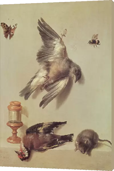 Still Life of Dead Birds and a Mouse, 1712 (oil on canvas)