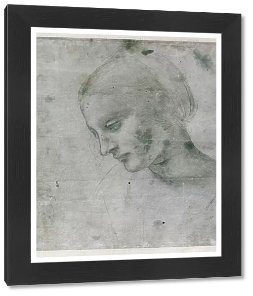 Head of a Young Woman or Head of the Virgin, c. 1490 (silverpoint on paper)